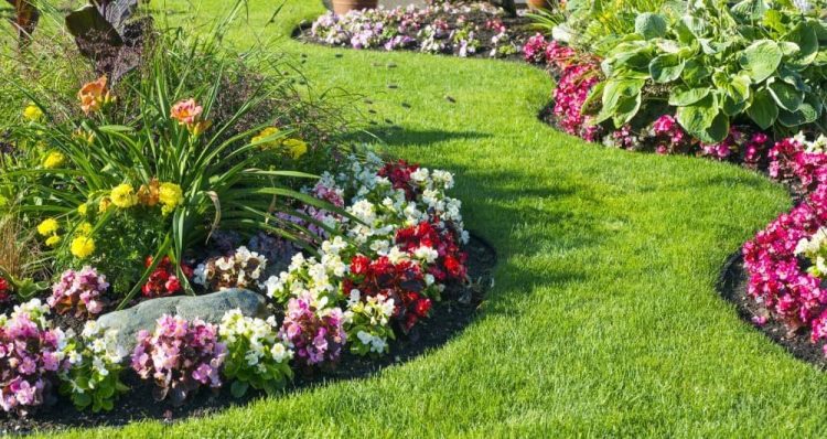 Enhance the Appearance of the Lawn