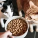 How is good-quality cat food beneficial for cats?