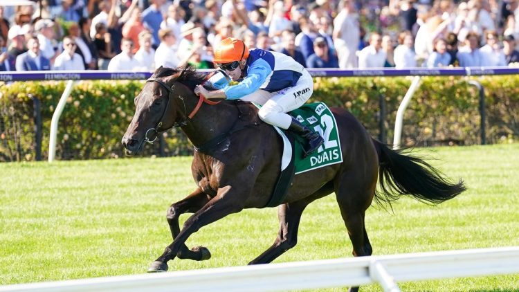 Your Guide to the Tancred Stakes