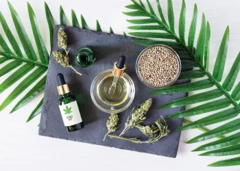 Does CBD Wine Provides Health Benefits?