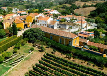 Is Dulwich expensive for property investment?