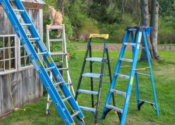 The Ultimate Solution for All Your Reach Needs – Heavy Duty Aluminum Ladder