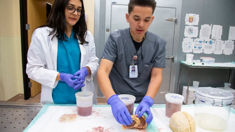 Can you be an Organ Donor and Still Donate Your Body to Science?