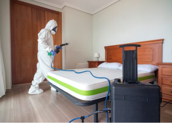 At-Home Bed Bug Treatment: A Step-by-Step Guide for Parisians
