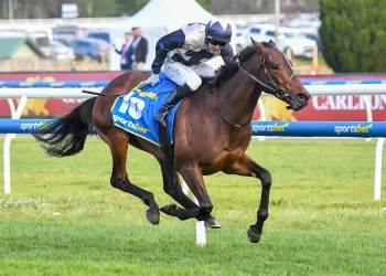 Top 5 Mistakes to Avoid When Placing Caulfield Cup Bets