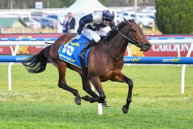 Top 5 Mistakes to Avoid When Placing Caulfield Cup Bets