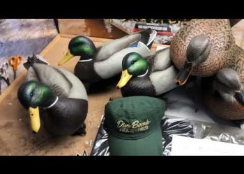 Dive Bomb Industries’ Decoys: The Science Behind the Success