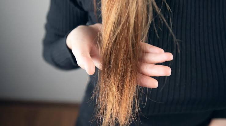 7 Signs of Damaged Hair and How to Improve Its Look and Feel